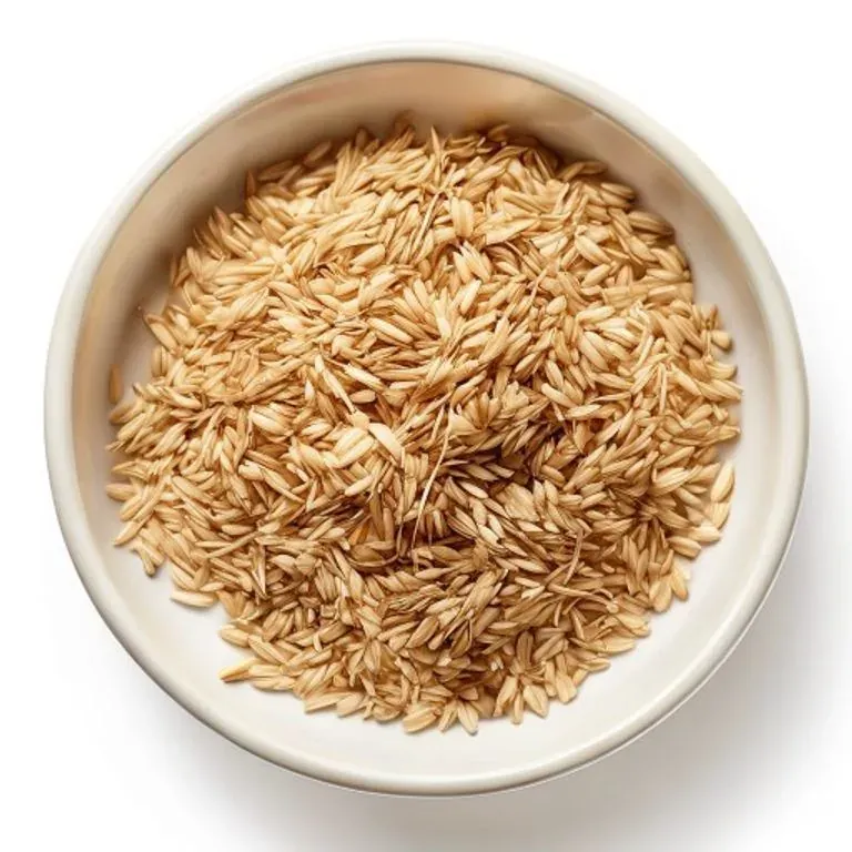 Barley Malt for North America Botanical Raw Material Sourcing