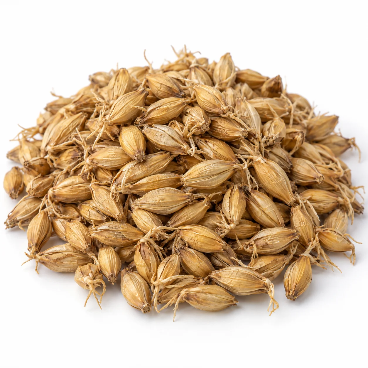 Barley Malt 麦芽 usage reference placeholder for herbal tea or food-herb ingredient planning, not a medical claim