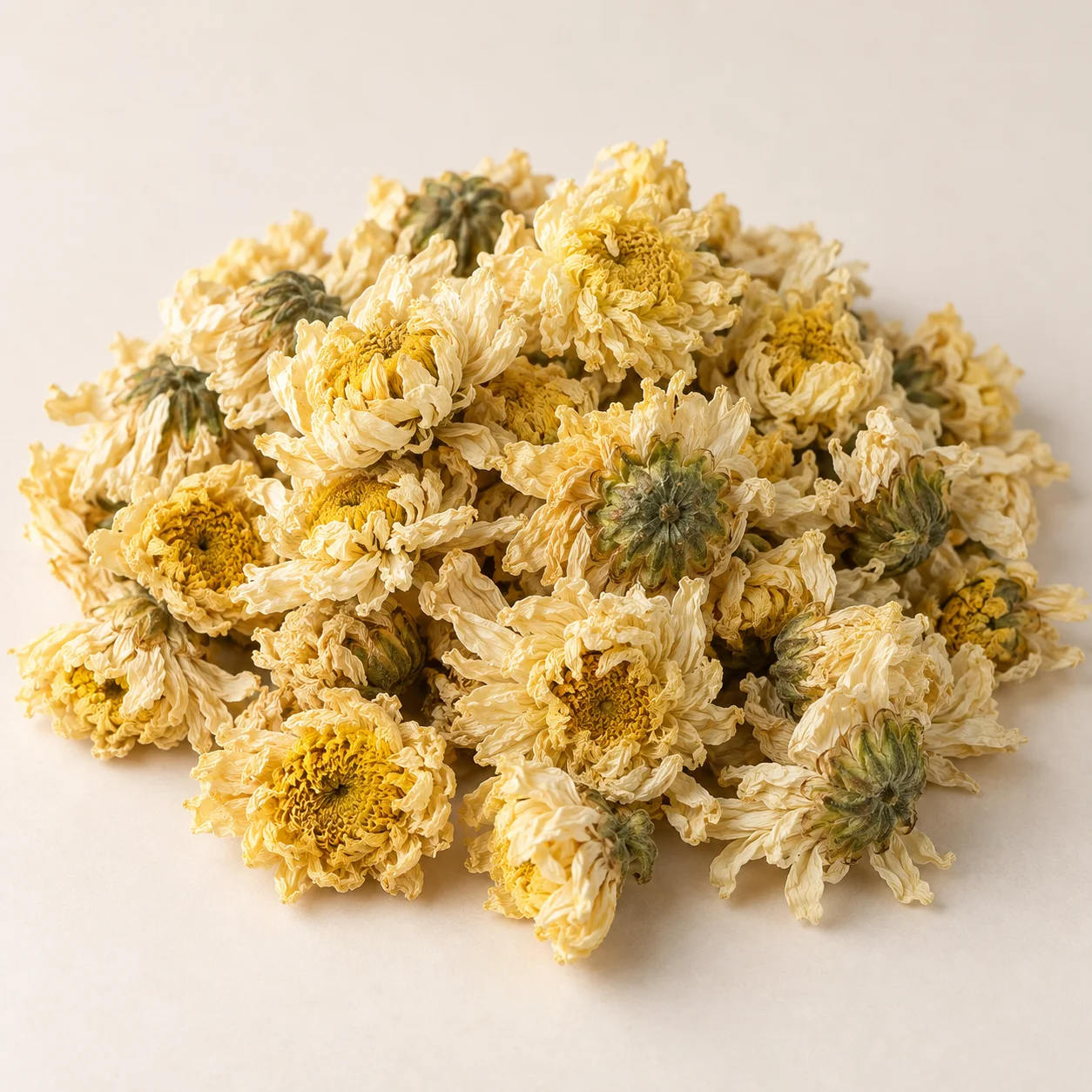 Chrysanthemum Flower 菊花 display presentation of dried blossoms for color and head size comparison