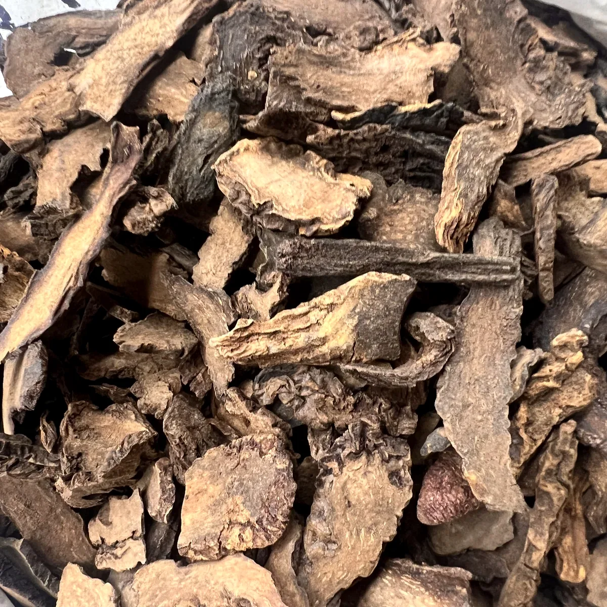 Cynomorium Stem 锁阳 water infusion reference photo from Bozhou China