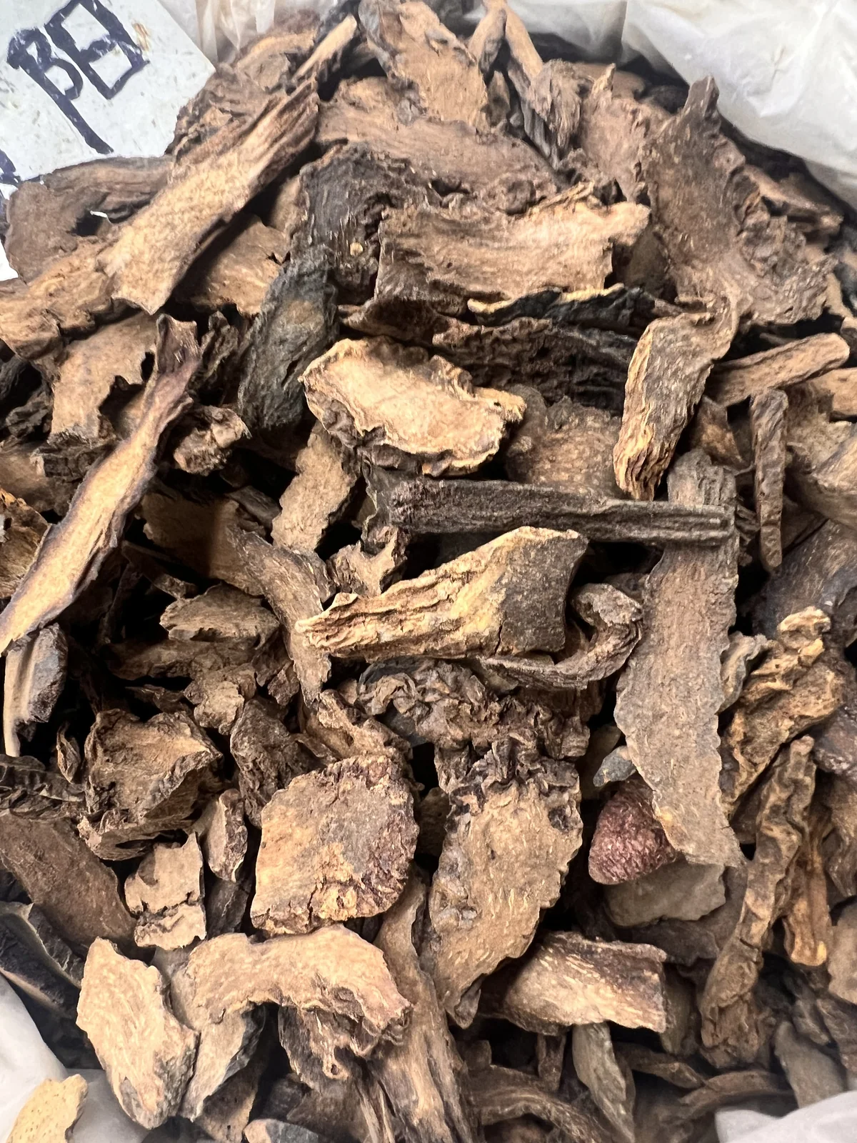Cynomorium Stem 锁阳 wholesale product image