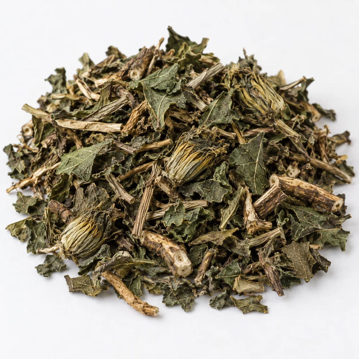 Dandelion 蒲公英 close detail texture showing cut size, leaf and stem ratio, dryness, and foreign matter assessment