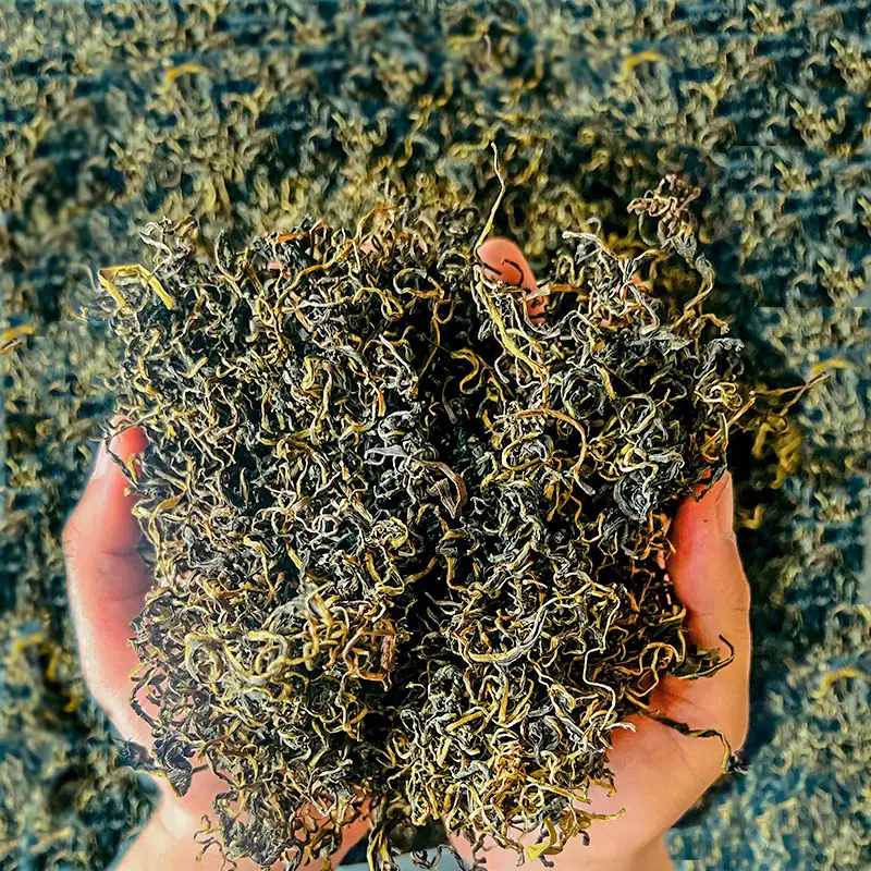 Dandelion for North America Botanical Raw Material Sourcing