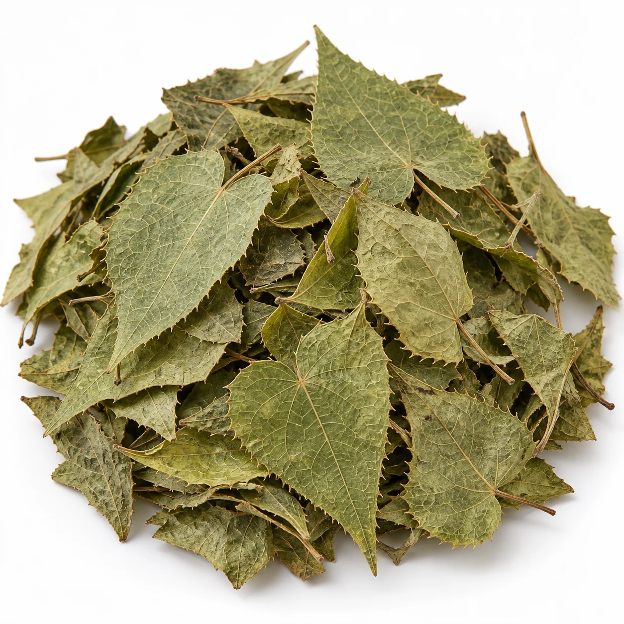 Epimedium Herb 淫羊藿 verified botanical raw material background reference for document discussion, not a medical claim