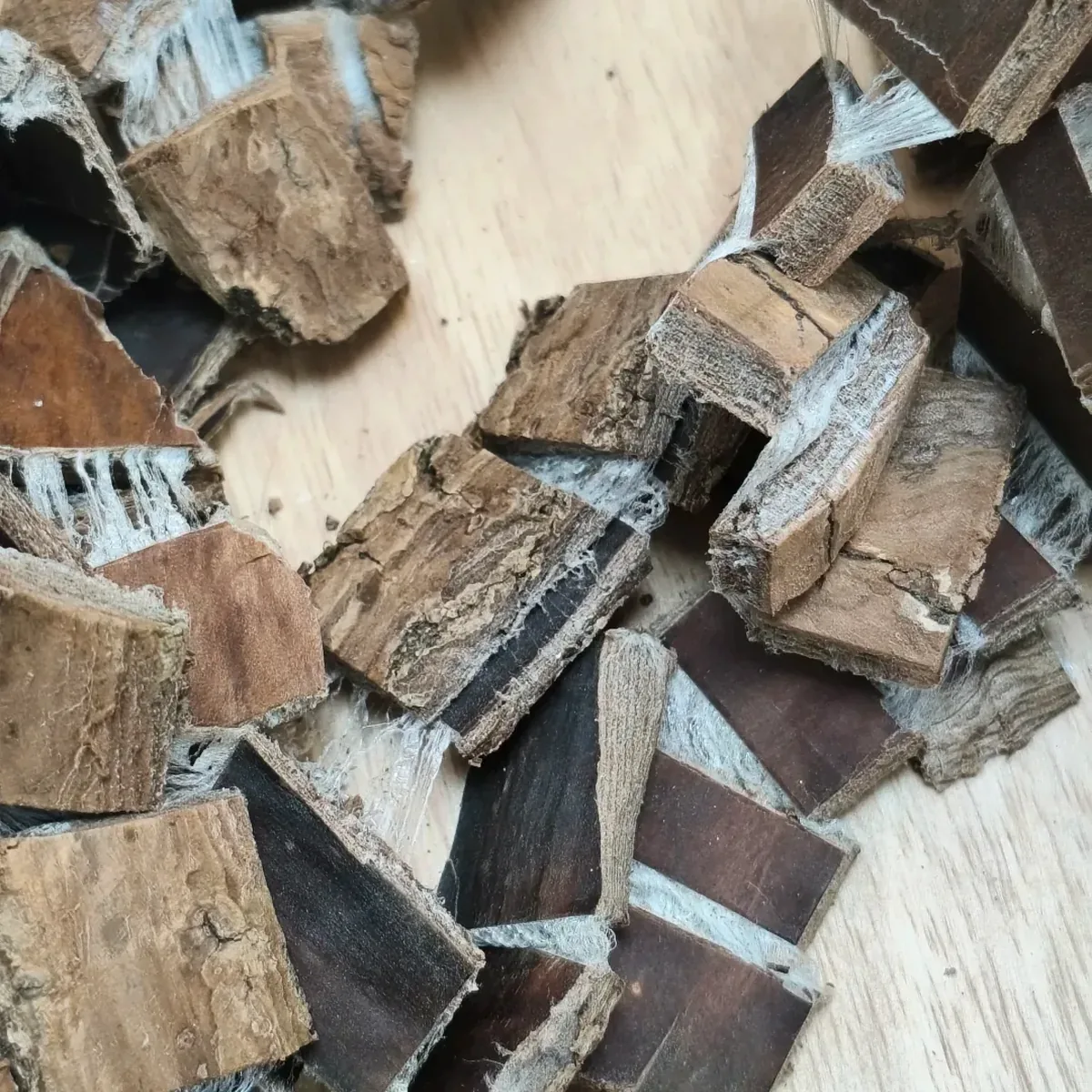 Eucommia Bark 杜仲 display photo of cut bark pieces for B2B sample reference and packing discussion