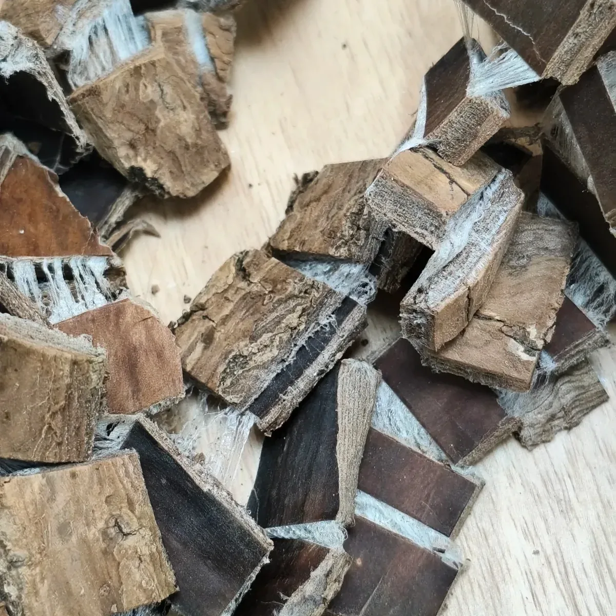 Eucommia Bark 杜仲 background reference photo from the same verified bark material, not a medical-use claim