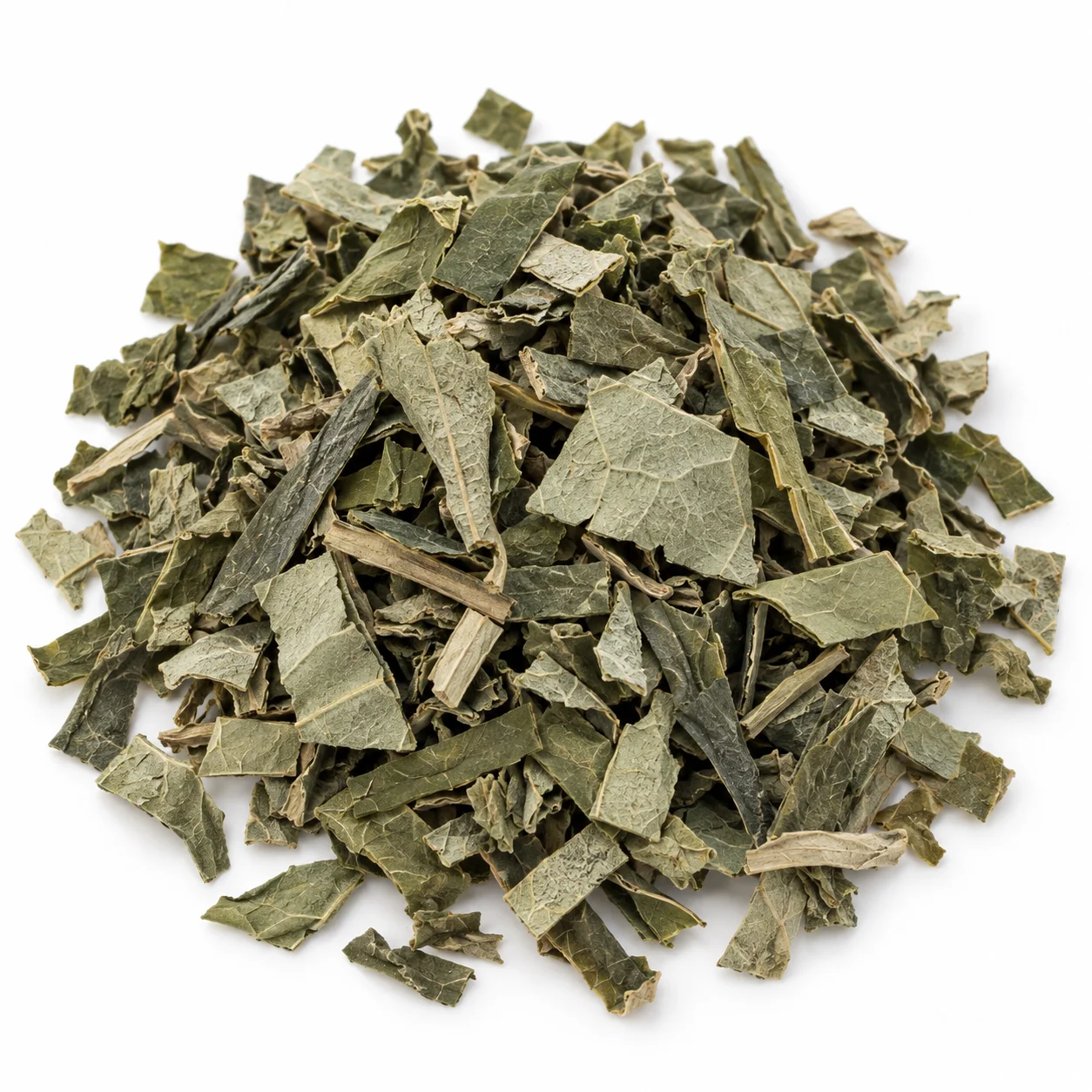 Lotus Leaf 荷叶 close detail texture photo showing cut size leaf venation dryness moisture and foreign matter assessment