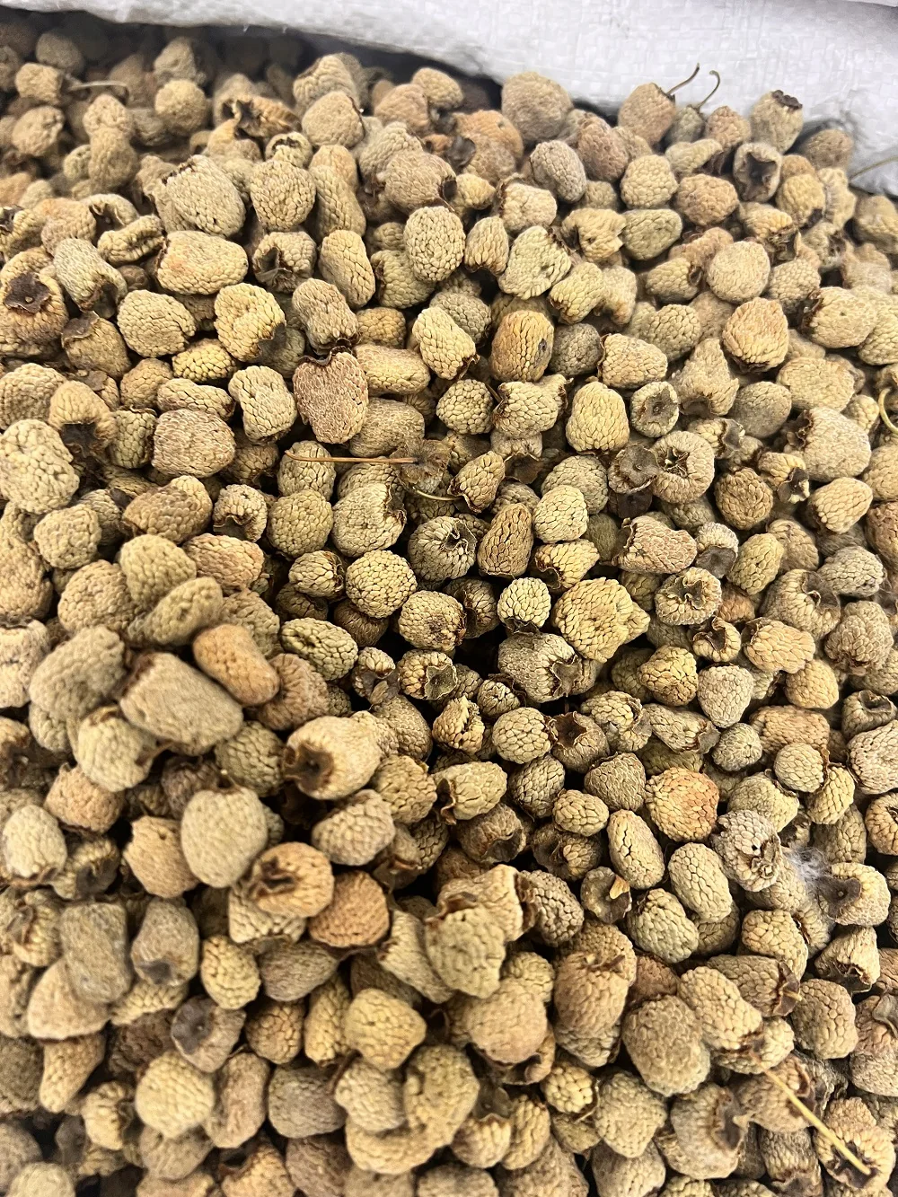 Raspberry Fruit 覆盆子 wholesale product image