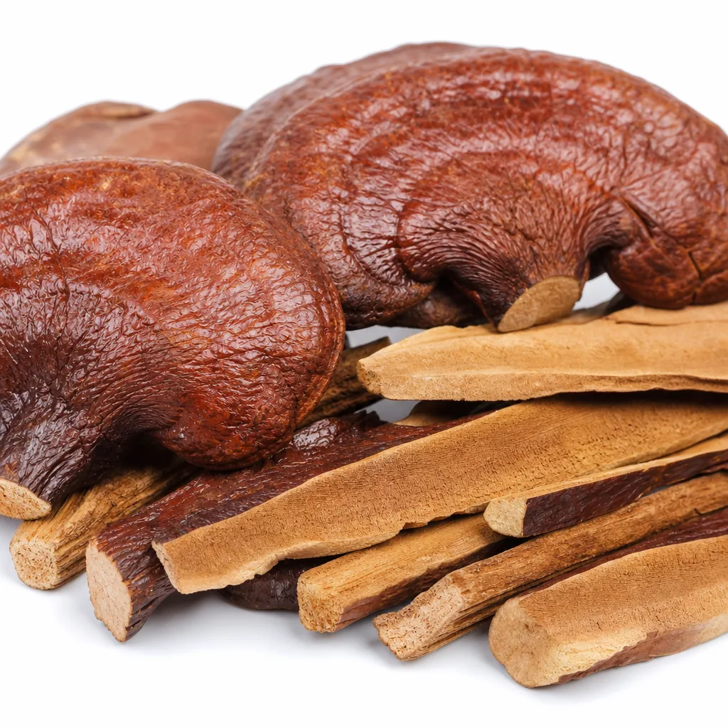 Reishi Mushroom for East Asia Traditional Herb Raw Materials